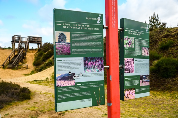 Informatiebord met op de achtergrond de uitkijktoren in het Grenspark Maas-Swalm-Nette
