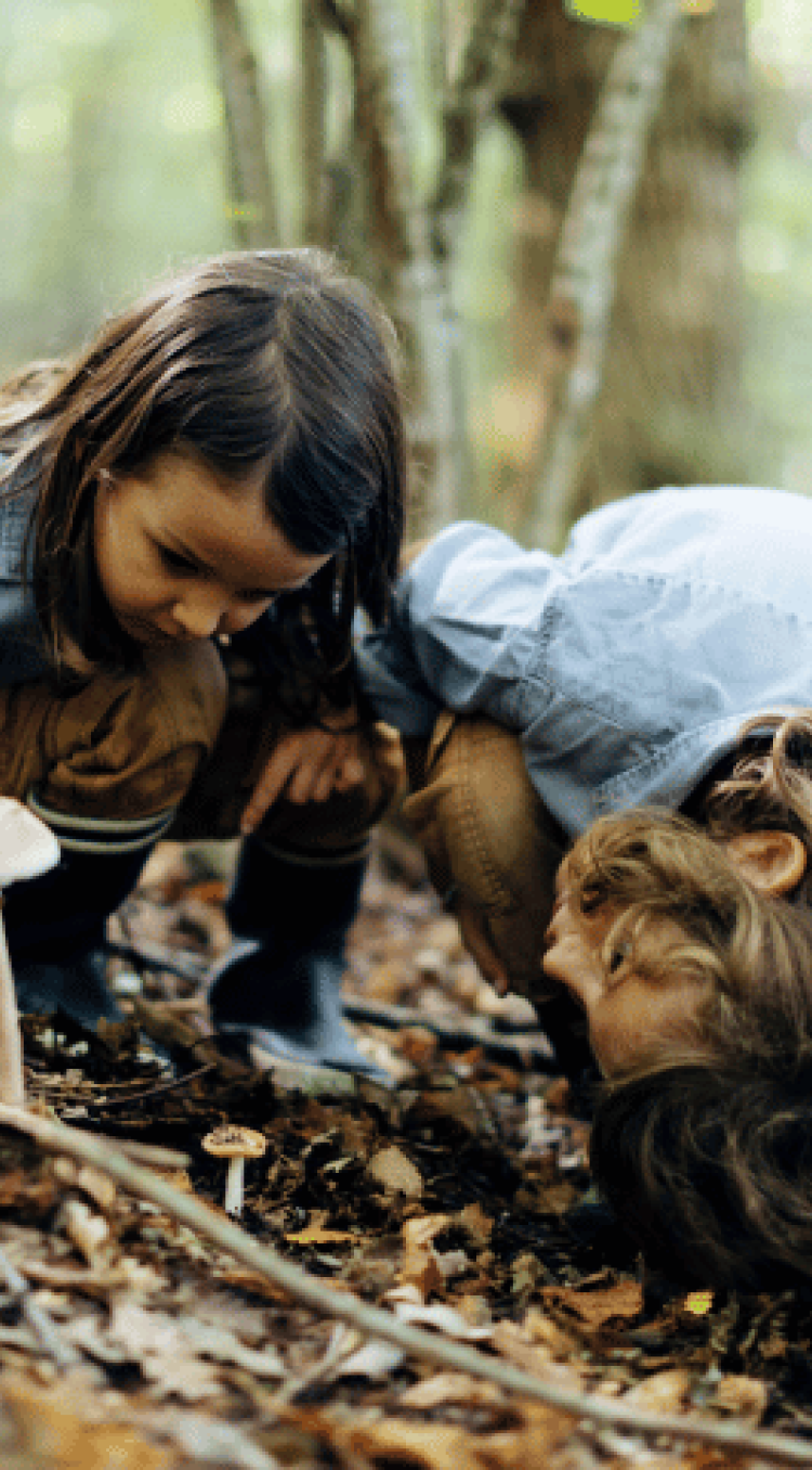 Bos, blaadjes en heel veel paddenstoelen 